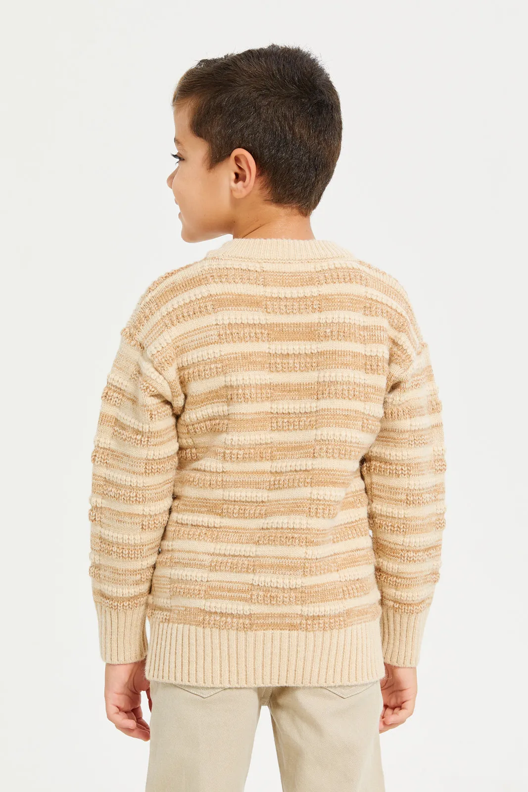 Boys Beige Round Neck Stripe Pullover