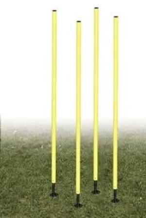 Champion Outdoor Agility Pole Set