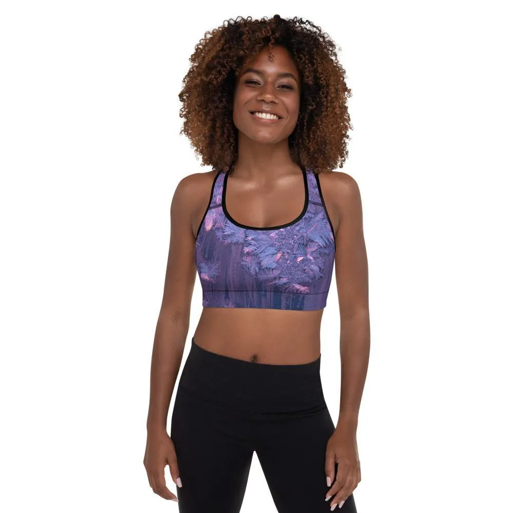 Fly Padded Sports Bra