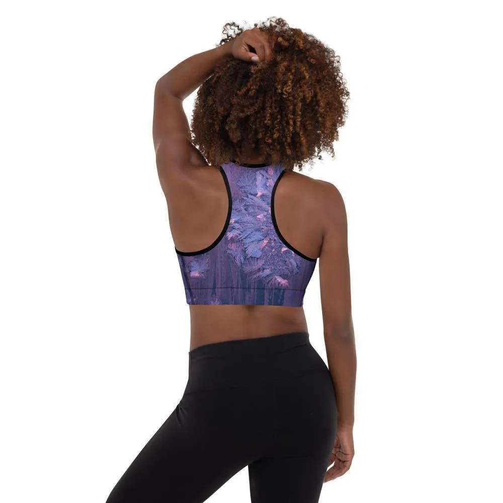 Fly Padded Sports Bra