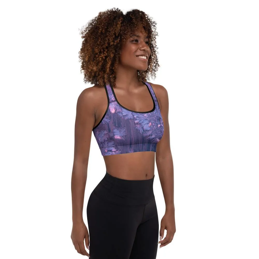 Fly Padded Sports Bra