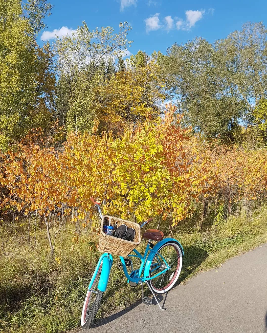 sixthreezero Breathe Women's 26" Single Speed Beach Cruiser Bicycle