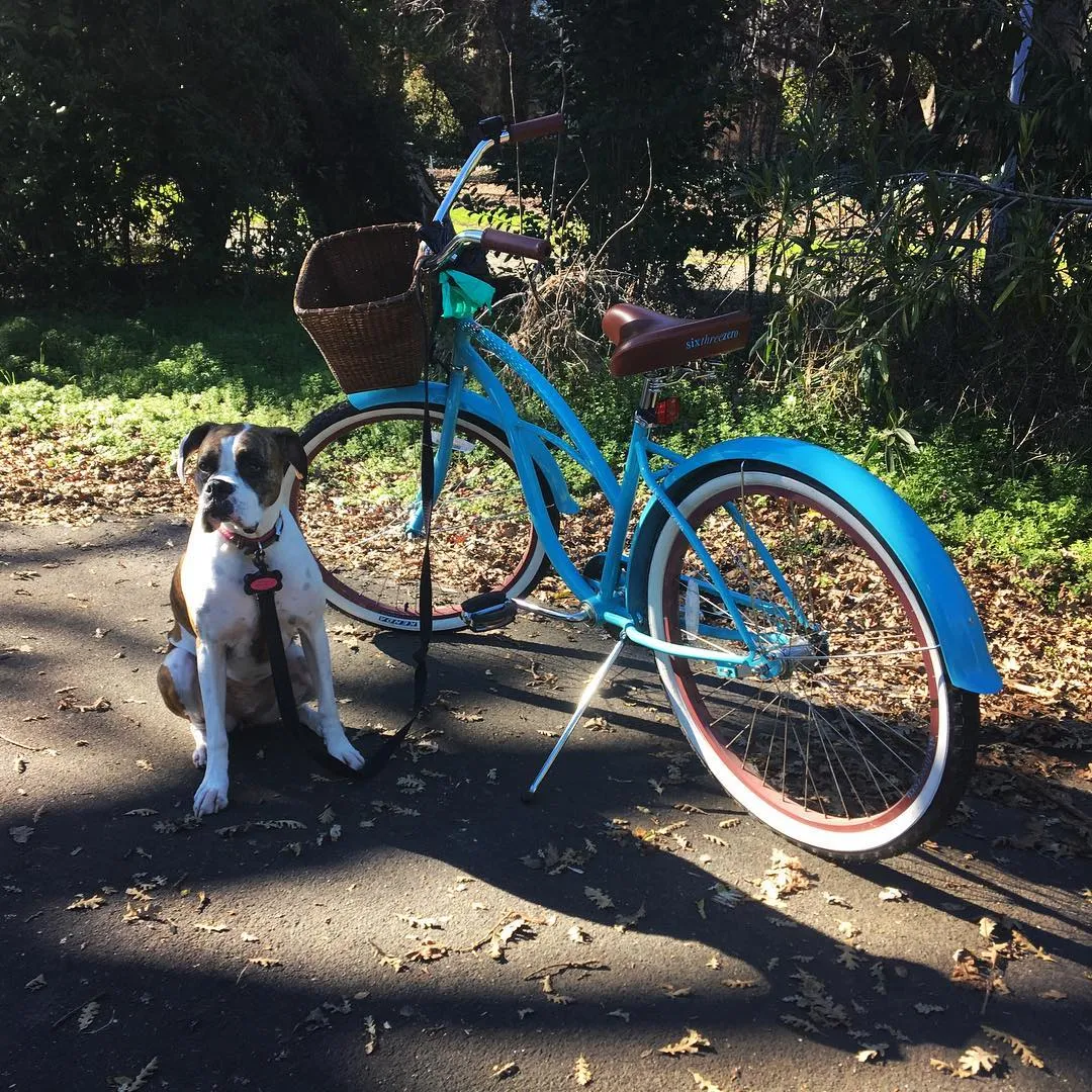 sixthreezero Breathe Women's 26" Single Speed Beach Cruiser Bicycle