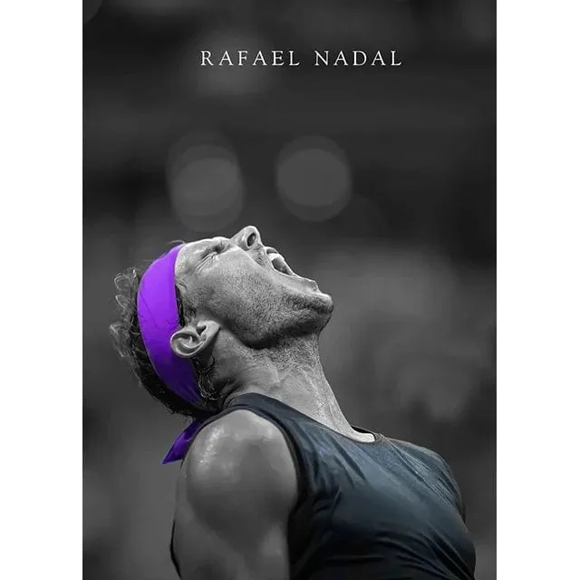 World Tennis Stars Artwork Rafael Nadal Roger Federer Oil Canvas Prints